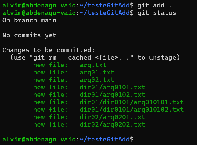 comando git add . no diretório raiz do projeto